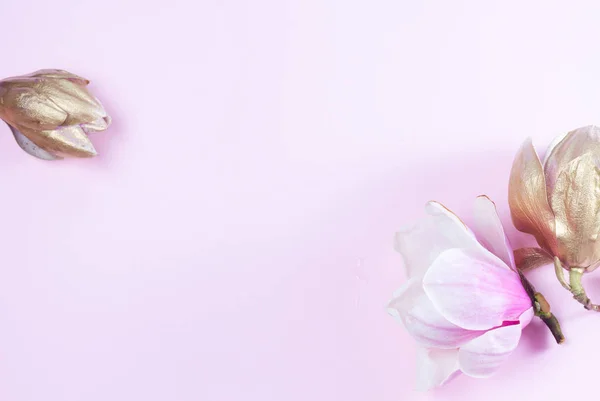 Magnolia Flores en rosa — Foto de Stock