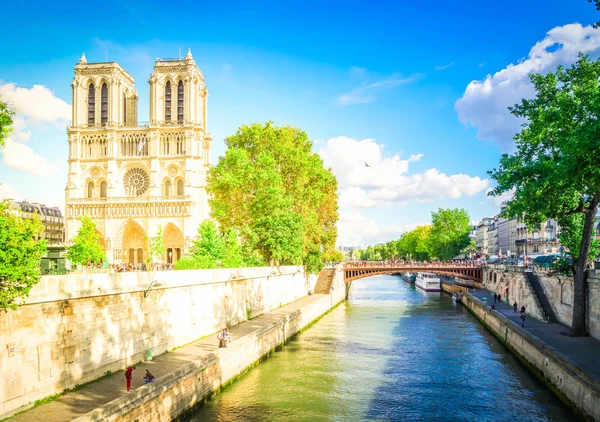 Cattedrale di Notre Dame, Parigi Francia — Foto Stock