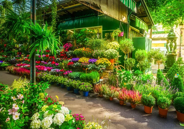 Mercato dei fiori di Parigi — Foto Stock