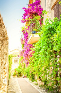 Güzel eski şehir Provence