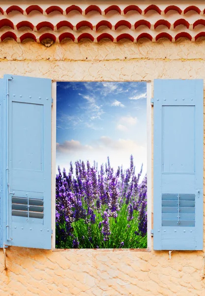 Lavender field window — Stock Photo, Image