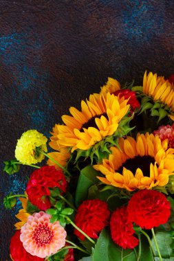 Dahlia ve ayçiçekleri