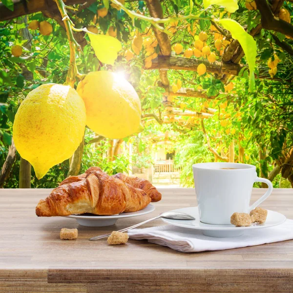 Cup of coffee with croissant — Stock Photo, Image