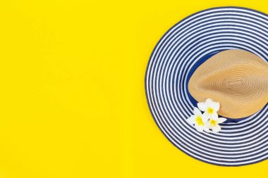 Yaz düzlüğü manzarası