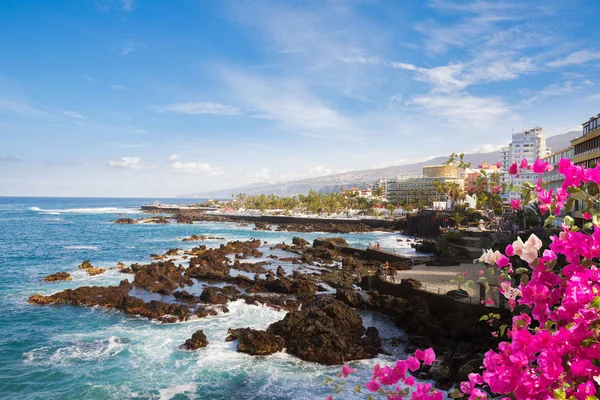 Puerto de la Cruz, Tenerife — Stock Photo, Image