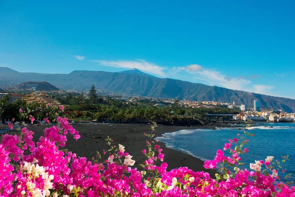 Playa Jardin, Puerto Cruz, Tenerife, Испания — стоковое фото