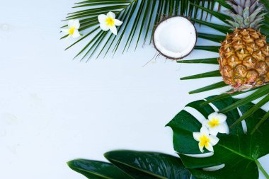 Yaz düzlüğü manzarası