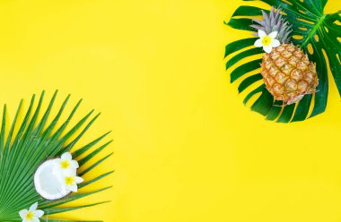 Yaz düzlüğü manzarası