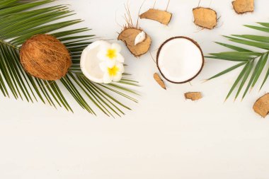 Palmiye yaprakları ve çiçekleri ile ahşap arka plan kopya alanı ile Hindistan cevizi ile sahne yaz düz göklere