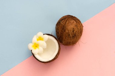 Hindistan cevizi meyve, en az stili