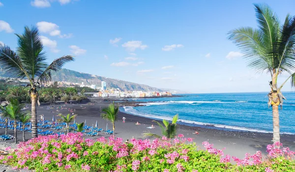 Puerto de la Cruz na Tenerife — Stock fotografie