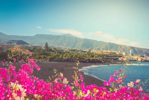 Playa jardin, puerto cruz, tenerife, İspanya — Stok fotoğraf