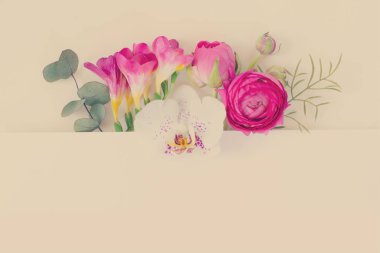 Çiçeklerin düz konumu