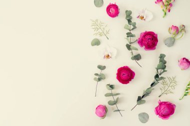 Çiçeklerin düz konumu