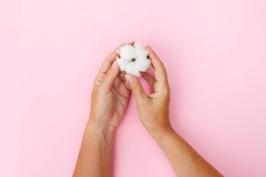 Ham pamuk tomurcukları holding eller