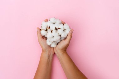 Ham pamuk tomurcukları holding eller