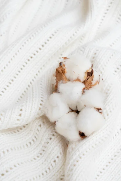 Surové bavlny pupeny na bavlněné textury — Stock fotografie