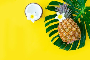 Yaz düzlüğü manzarası