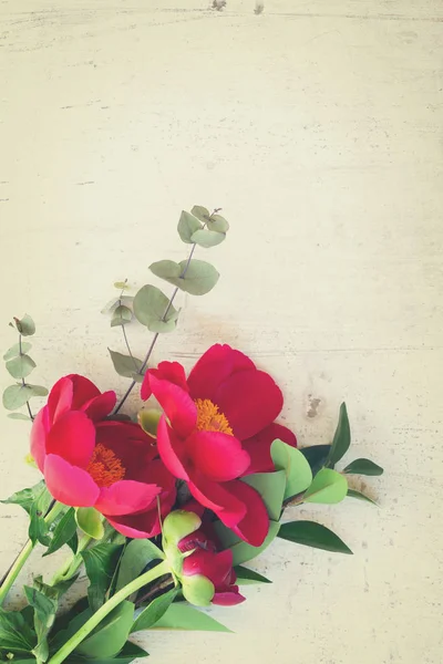 Fiori di peonia freschi — Foto Stock