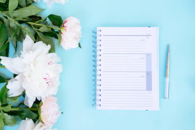 Mavi daire yatıyordu ev ofis çalışma alanı