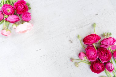 Çiçeklerin düz konumu