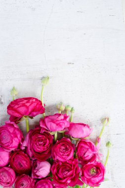 Çiçeklerin düz konumu