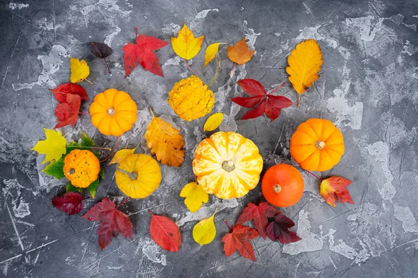 Cosecha de calabazas — Foto de Stock