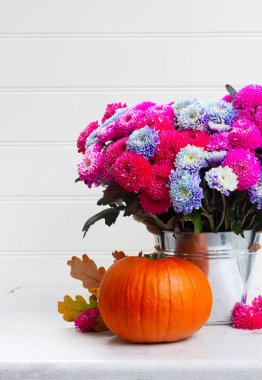 Kasımpatı çiçekleri Güz