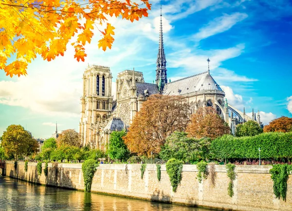 Catedral de Notre Dame, París Francia —  Fotos de Stock