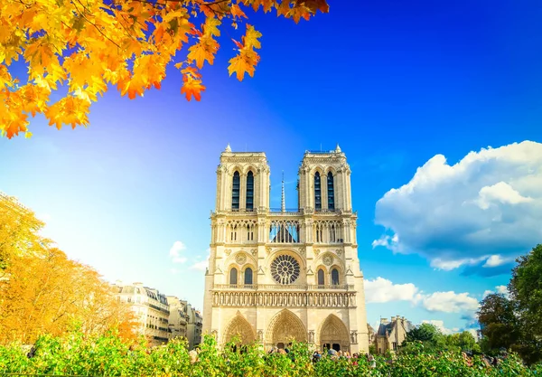 Gevel van de kathedraal van notre dame, paris, Frankrijk — Stockfoto
