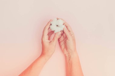 Ham pamuk tomurcukları holding eller