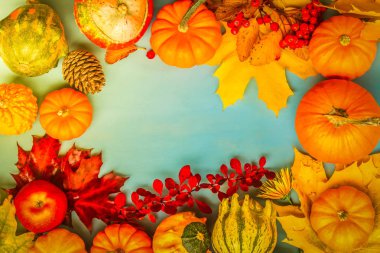 kabaklar mavi masada