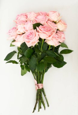 taze gül çiçekleri