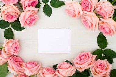 taze gül çiçekleri