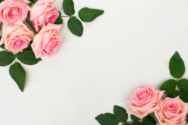 taze gül çiçekleri