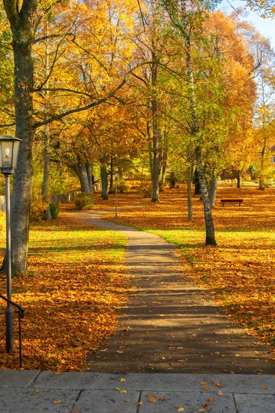 Titrek sonbahar yaprakları — Stok fotoğraf