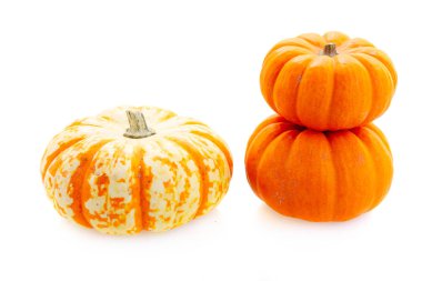 Kabak hasat sonbahar