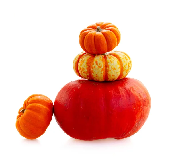 Fall harvest of pumpkins — Stock Photo, Image