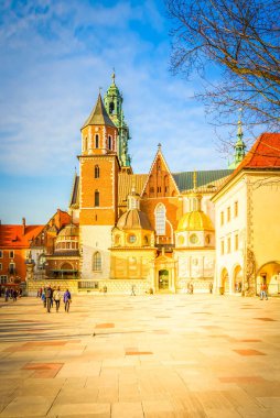 Wawel hill, Krakow, Polonya