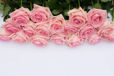 taze gül çiçekleri