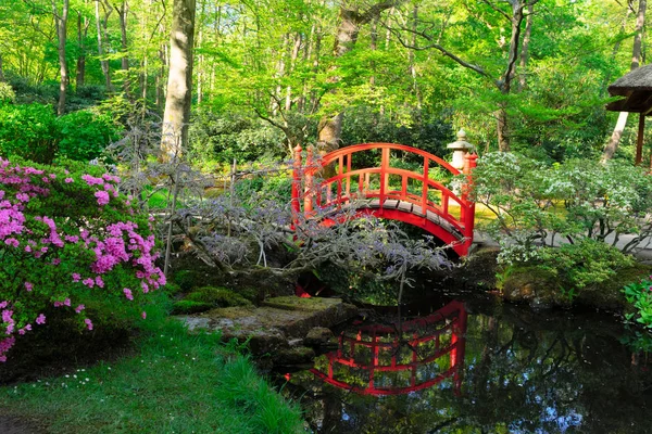 Ιαπωνικός Κήπος στη Χάγη — Φωτογραφία Αρχείου