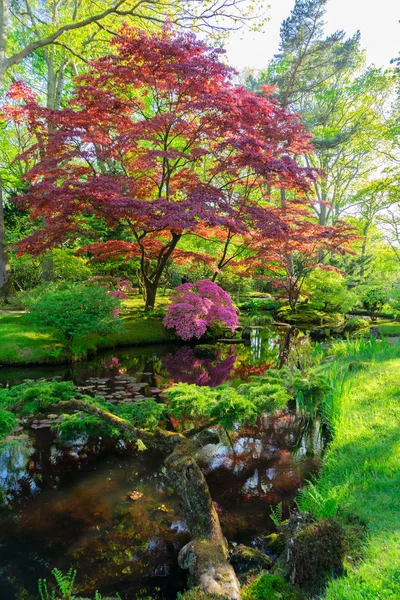 Japansk trädgård i Haag — Stockfoto