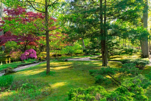 Japanischer Garten in Den Haag — Stockfoto