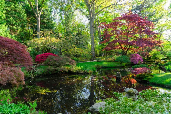 Jardín japonés en La Haya — Foto de Stock