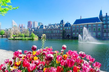 Binnenhof - Hollanda Parlamentosu, Hollanda