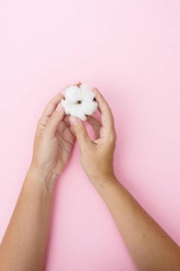 Ham pamuk tomurcukları holding eller