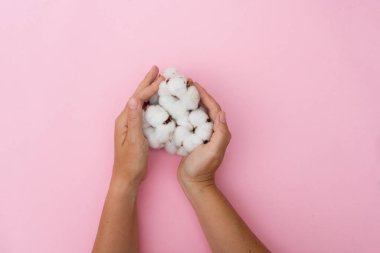 Ham pamuk tomurcukları holding eller