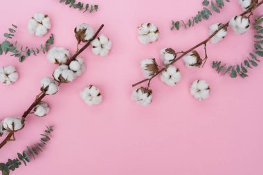 Eucaliptus çiçeklerle pamuk