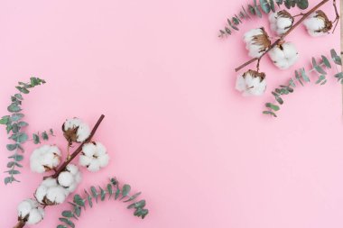 Eucaliptus çiçeklerle pamuk