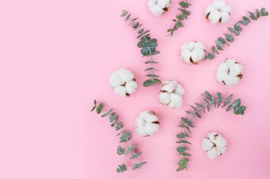 Eucaliptus çiçeklerle pamuk